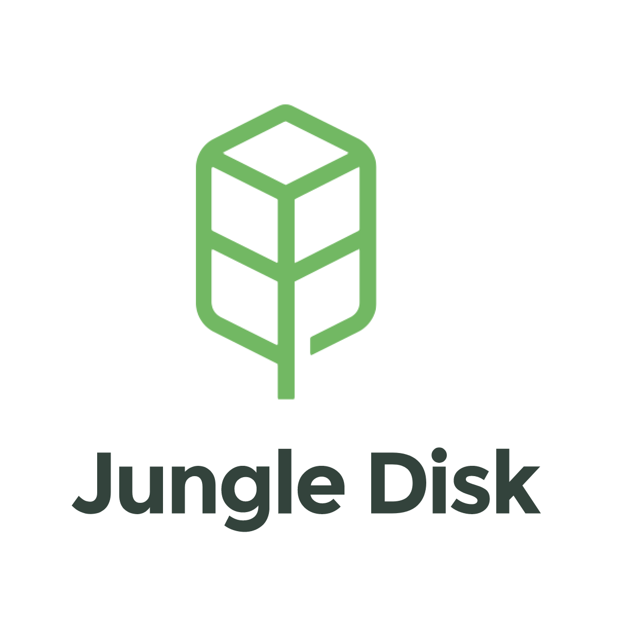 Jungle Disk Archives — Modern Managed IT