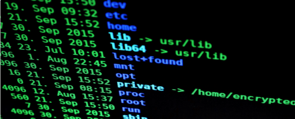 firewalls for small businesses